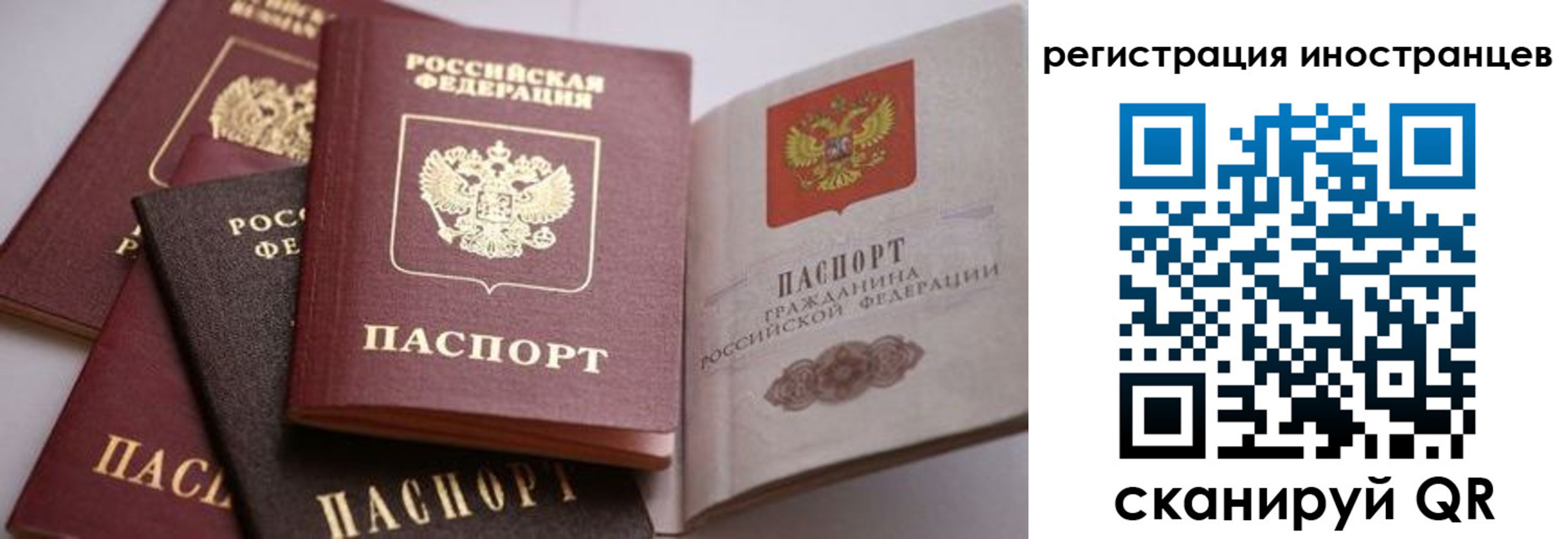 прописка штамп в Архангельской области